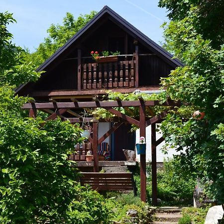 Na Okic - A Private Forest Oasis Sveti Martin pod Okicem Εξωτερικό φωτογραφία