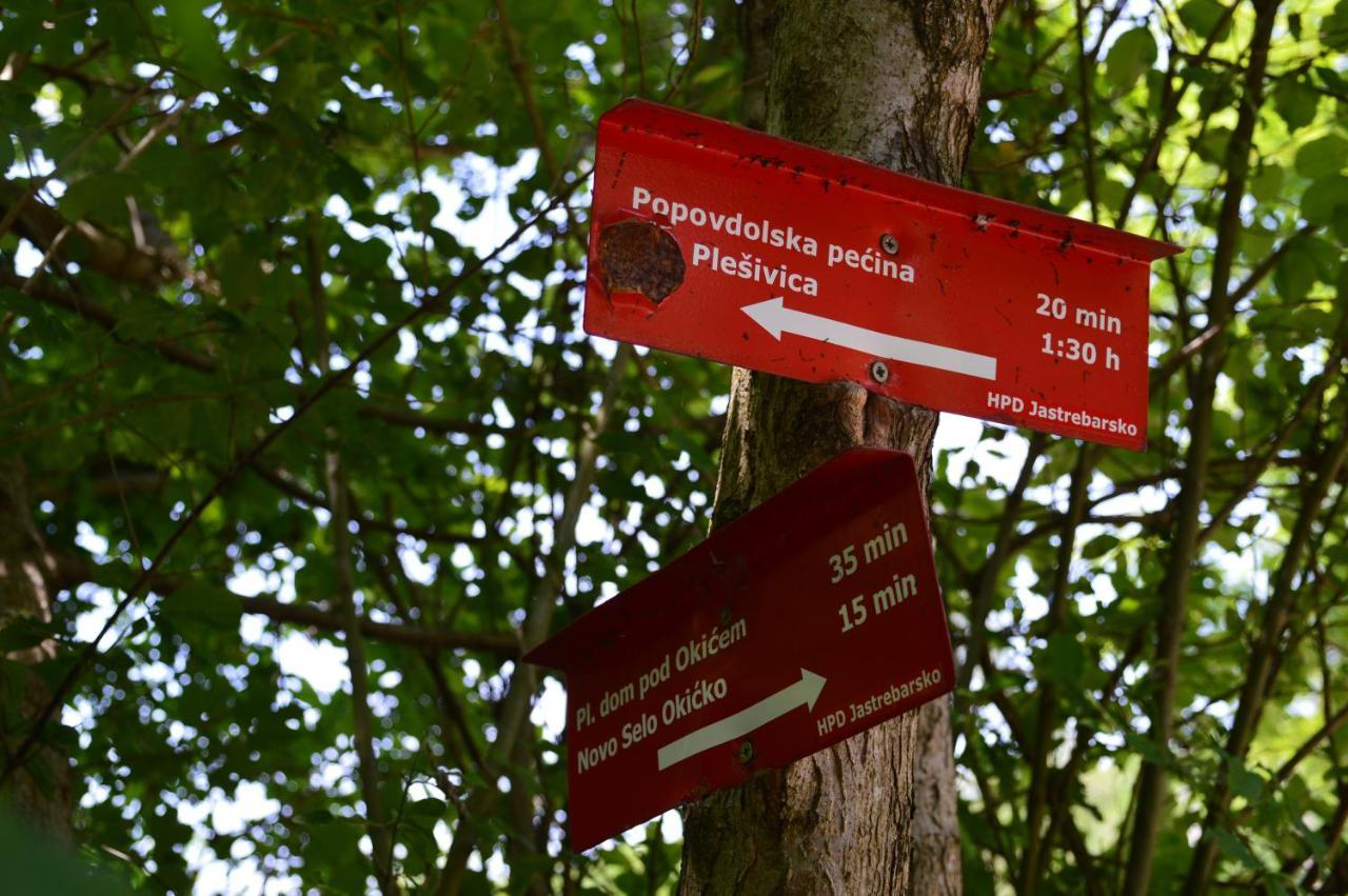 Na Okic - A Private Forest Oasis Sveti Martin pod Okicem Εξωτερικό φωτογραφία