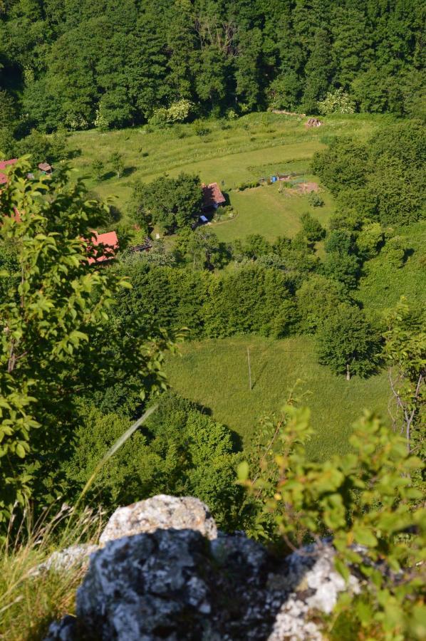 Na Okic - A Private Forest Oasis Sveti Martin pod Okicem Εξωτερικό φωτογραφία