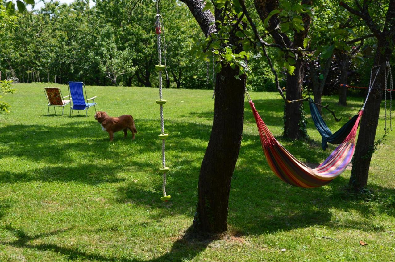 Na Okic - A Private Forest Oasis Sveti Martin pod Okicem Εξωτερικό φωτογραφία