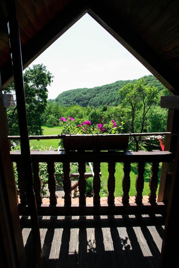 Na Okic - A Private Forest Oasis Sveti Martin pod Okicem Εξωτερικό φωτογραφία