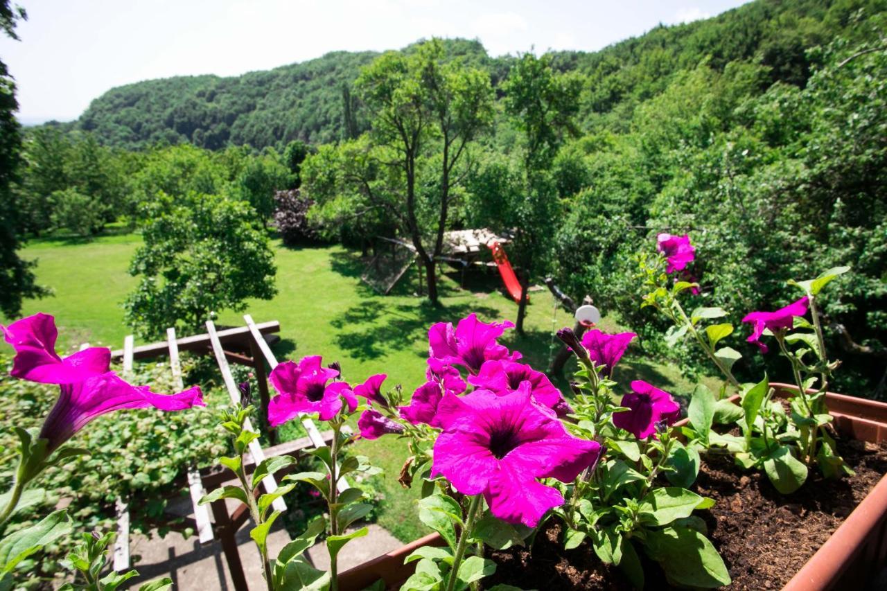 Na Okic - A Private Forest Oasis Sveti Martin pod Okicem Εξωτερικό φωτογραφία