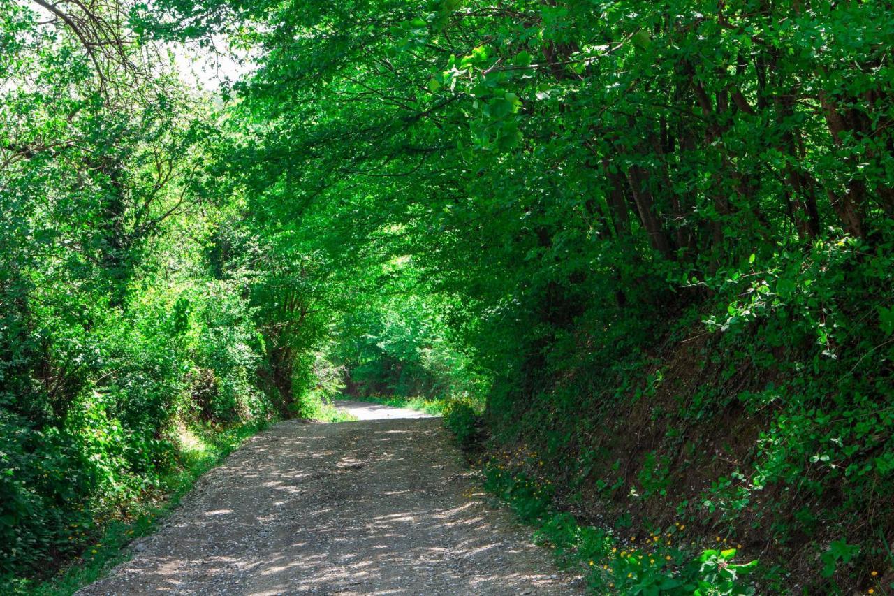 Na Okic - A Private Forest Oasis Sveti Martin pod Okicem Εξωτερικό φωτογραφία