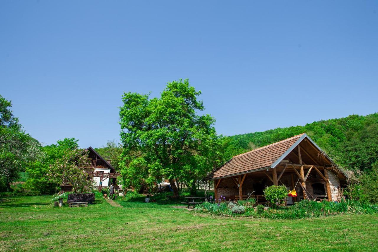 Na Okic - A Private Forest Oasis Sveti Martin pod Okicem Εξωτερικό φωτογραφία