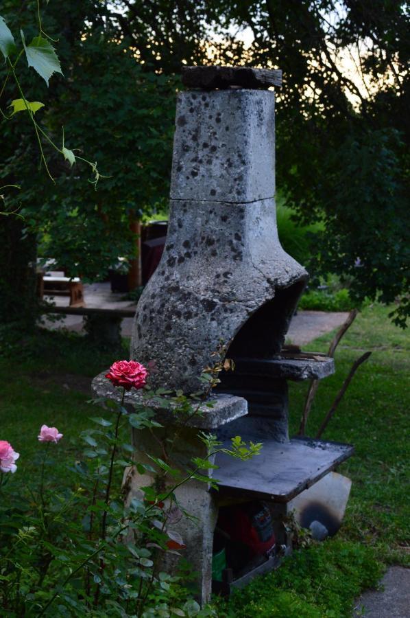 Na Okic - A Private Forest Oasis Sveti Martin pod Okicem Εξωτερικό φωτογραφία